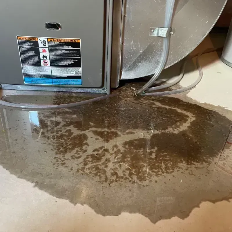 Appliance Leak Cleanup in Calhoun County, WV